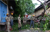 Mangalore: Heavy rain uproots several trees, disrupts power supply